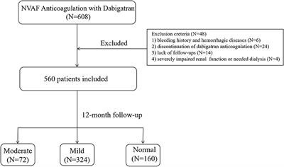 Impact of Renal Function on Effectiveness and Safety Associated With Low Dose Dabigatran in Non-valve Atrial Fibrillation Patients After Catheter Ablation